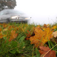 Laub und Nebel: Das sind typische Begleiterscheinungen des Herbstes, die Autofahrern Probleme bereiten können.