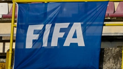 Aufgrund von fehlerhaften Angaben auf den Verbandswebseiten respektive in Rundschreiben an Agenten muss die FIFA 150.000 Euro zahlen.