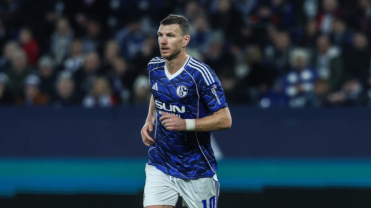 "Er ist viel zu gut für die 2. Liga": Wie Dzeko Schalke ...