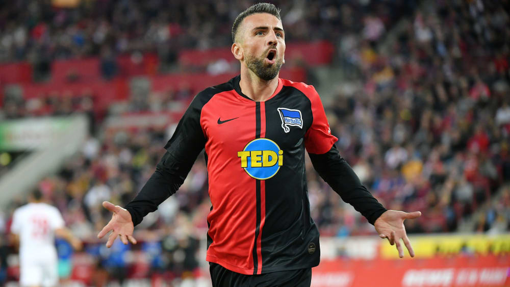 Vedad Ibisevic