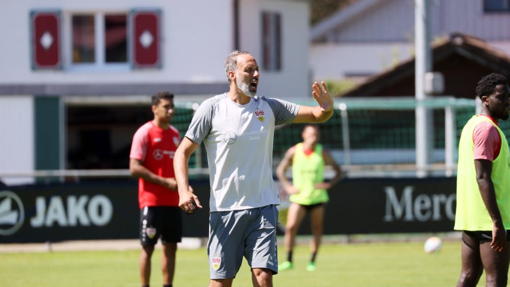 Lässt hart trainieren: Stuttgarts Trainer Pellegrino Materazzo bittet seine Profis teilweise dreimal am Tag auf den Trainingsplatz.