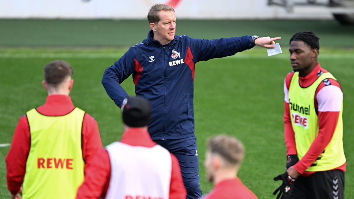 neuer trainer 1 fc köln