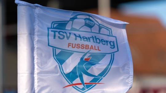 Der TSV Hartberg setzt auf eine Scouting-Abteilung.