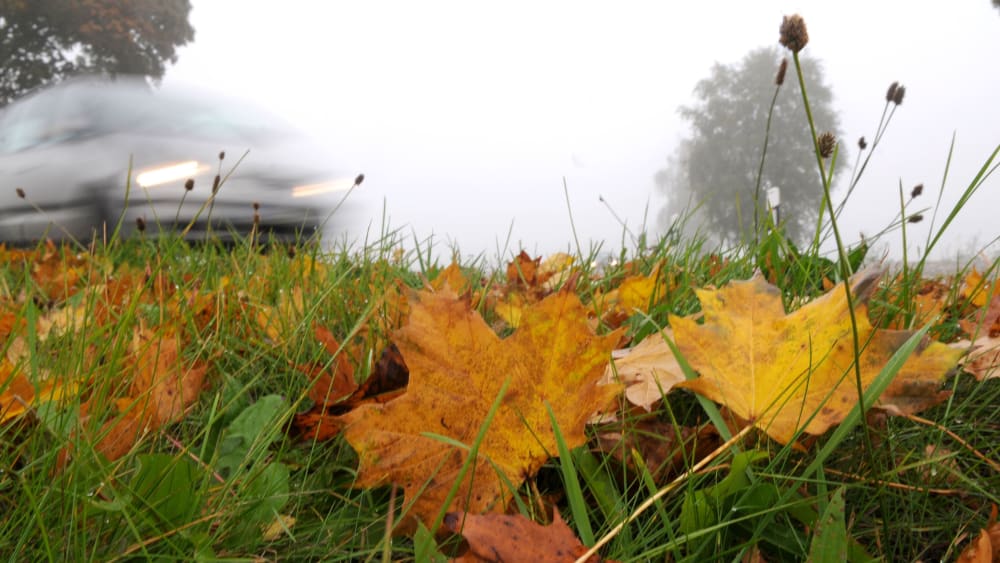 Laub und Nebel: Das sind typische Begleiterscheinungen des Herbstes, die Autofahrern Probleme bereiten können.