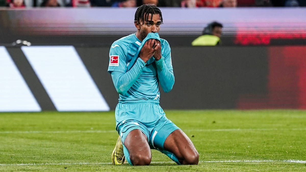 DFB suspends Hoffenheim's Akpoguma for one match