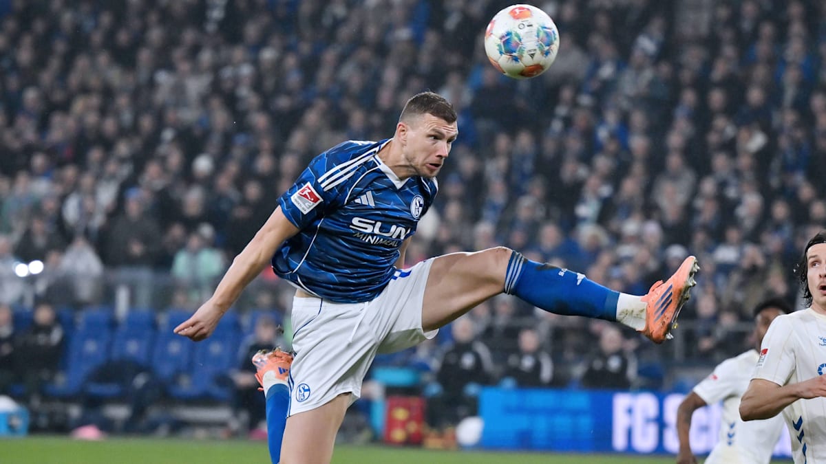 Schwegler confirms: Wolfsburg wanted to bring Dzeko back