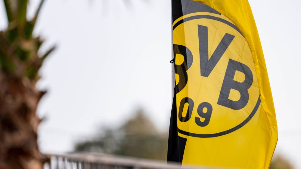 Fan-Vergehen kosteten den BVB in dieser Saison schon mehrfach Geld.