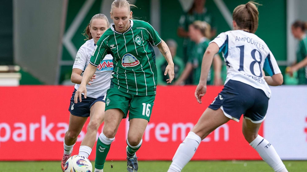 [Bild: 65e06c39-2c1e-4621-8262-9fbd27ae522d.jpg]