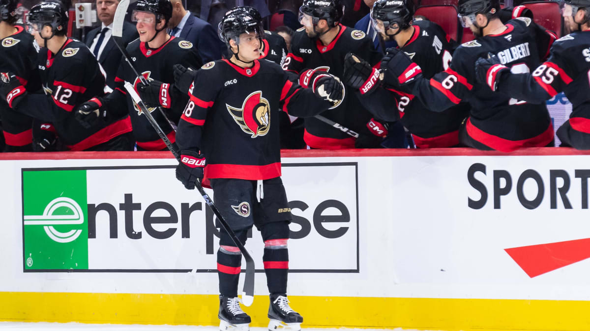 F-r-neue-Arena-Ottawa-Senators-kaufen-Land