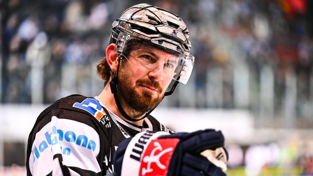 Wild Wings holen Brown in die DEL zurück kicker