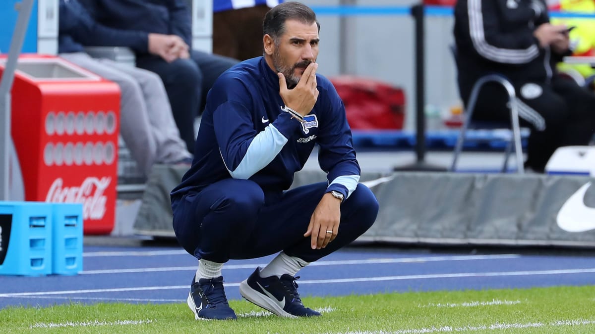 Hertha scannt den Markt: Kommt ein vertragsloser Verteidiger?