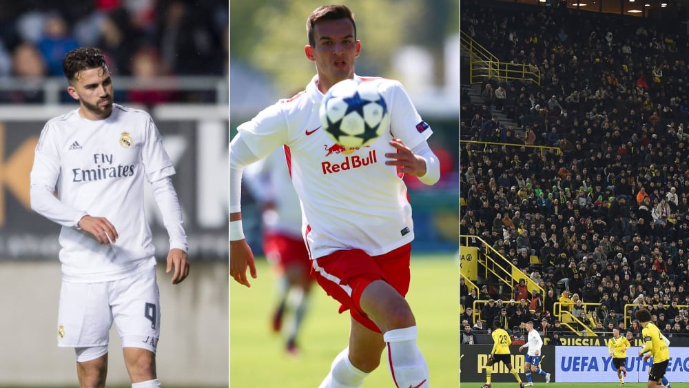 Haben Eindruck in der Youth League hinterlassen: Borja Mayoral, Mergim Berisha und Fans der BVB-Spiele.