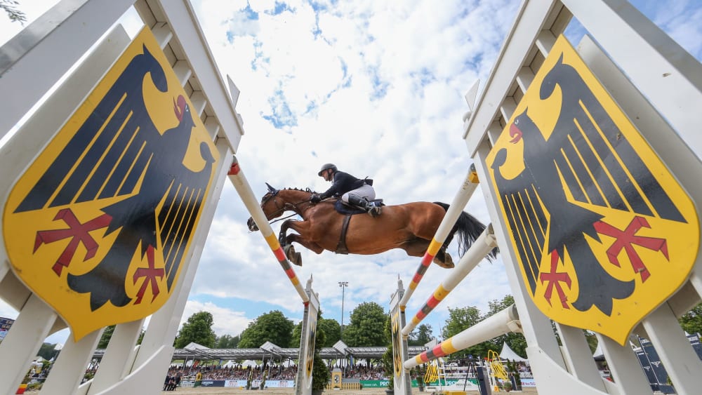 Dem deutschen Reitsport geht es nicht gut: Wegen einer Intrige ist Holger Wulschner aus dem Präsidium zurückgetreten.