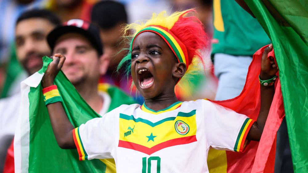 Senegalesischer Fan