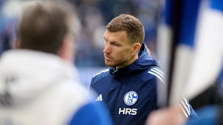 Nachdenklich: Schalke-Torjäger Edin Dzeko.