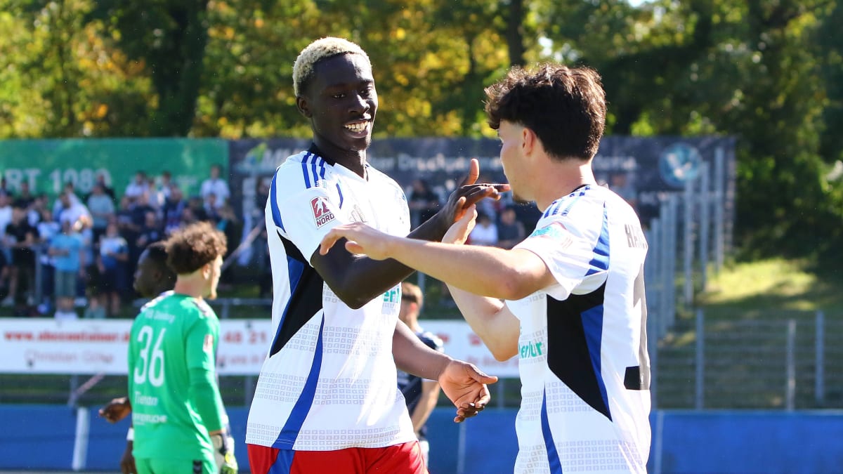 Sillah und Stange empfehlen sich bei der HSV-Reserve für höhere Aufgaben - Youngsters profitieren vom Konkurrenzkampf