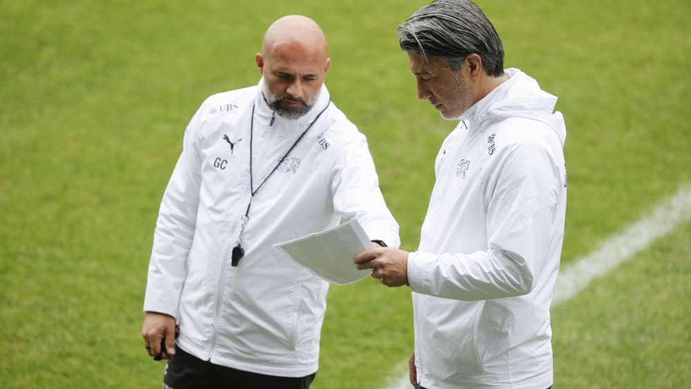 Schweiz Trainersuche in Bern beendet Contini übernimmt YB kicker