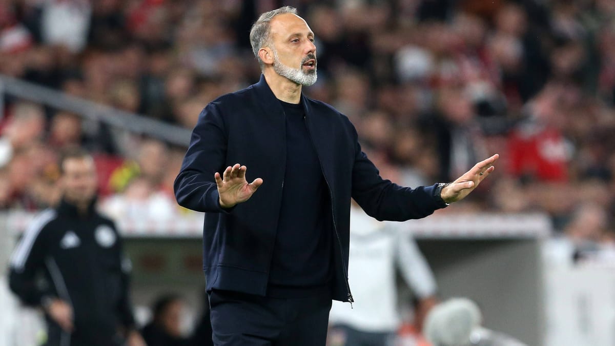 TSG Hoffenheim: Matarazzo remains in office