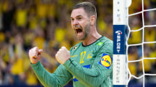 Schwedens Matchwinner: Andreas Palicka.
