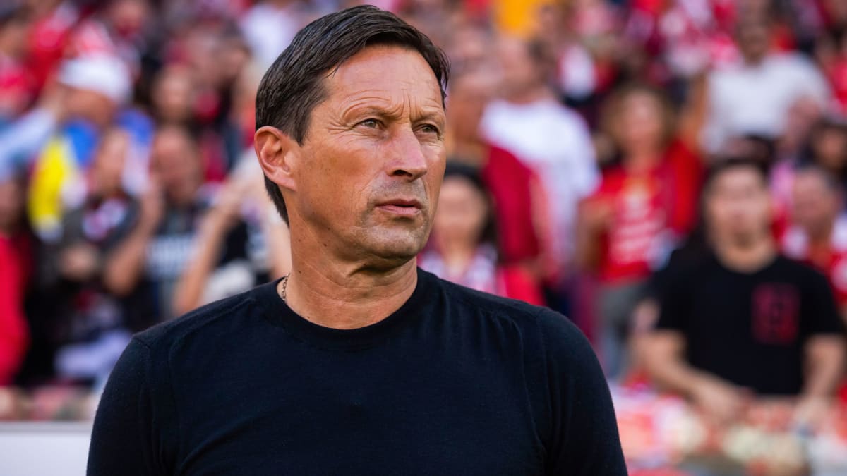 Schmidt-Berater-in-Japan-statt-Trainer-Job
