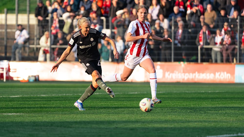 [Bild: 6cb8dfdd-3e8c-4a3e-9aa0-25e7fc04378e.jpg]