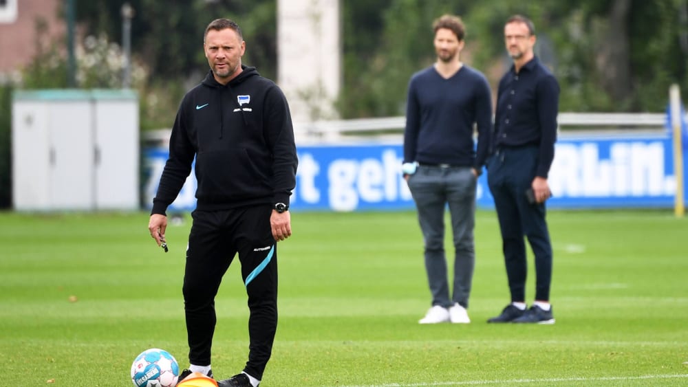 Hertha-Coach Pal Dardai und die "Trainingskiebitze" Fredi Bobic und Arne Friedrich.