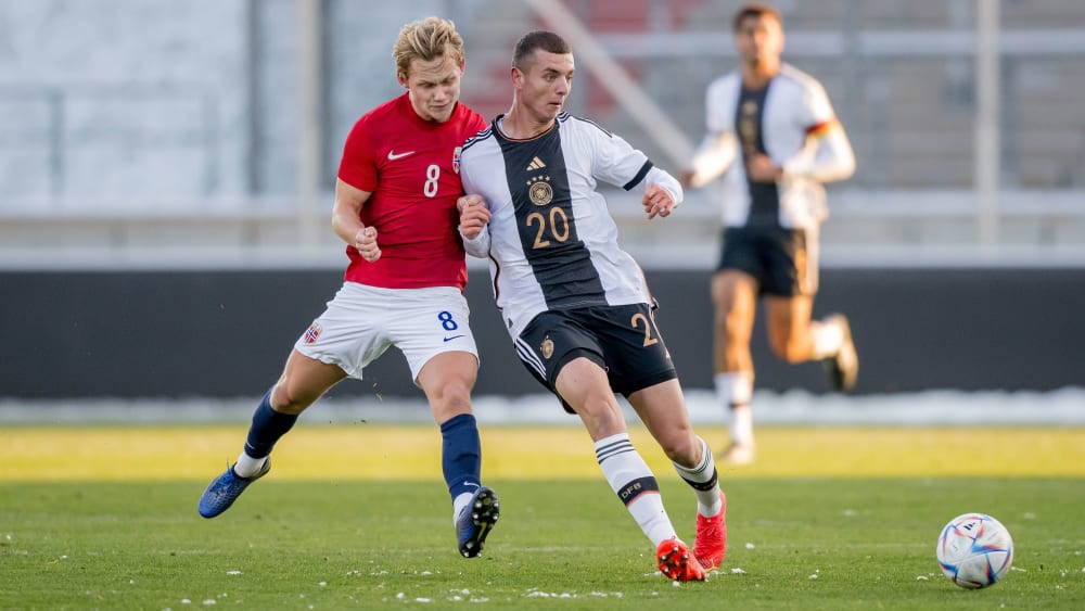 JR Farm Degu-Spezial Alleinfutter 2x500g - Mit Kräutern & Blüten Für Degus