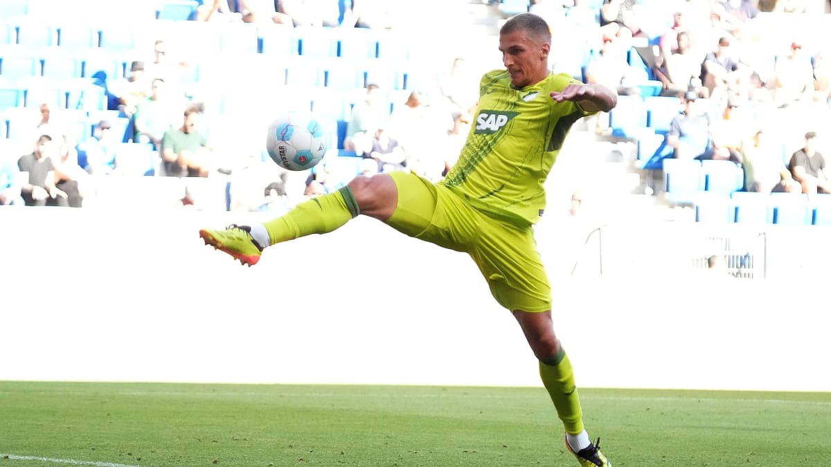 Team vote: Hoffenheim's new hierarchy