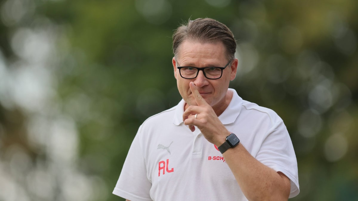 Walldorf-und-der-Lemm-Abschied-im-Sommer-Bin-das-Gegenteil-einer-Lame-Duck-