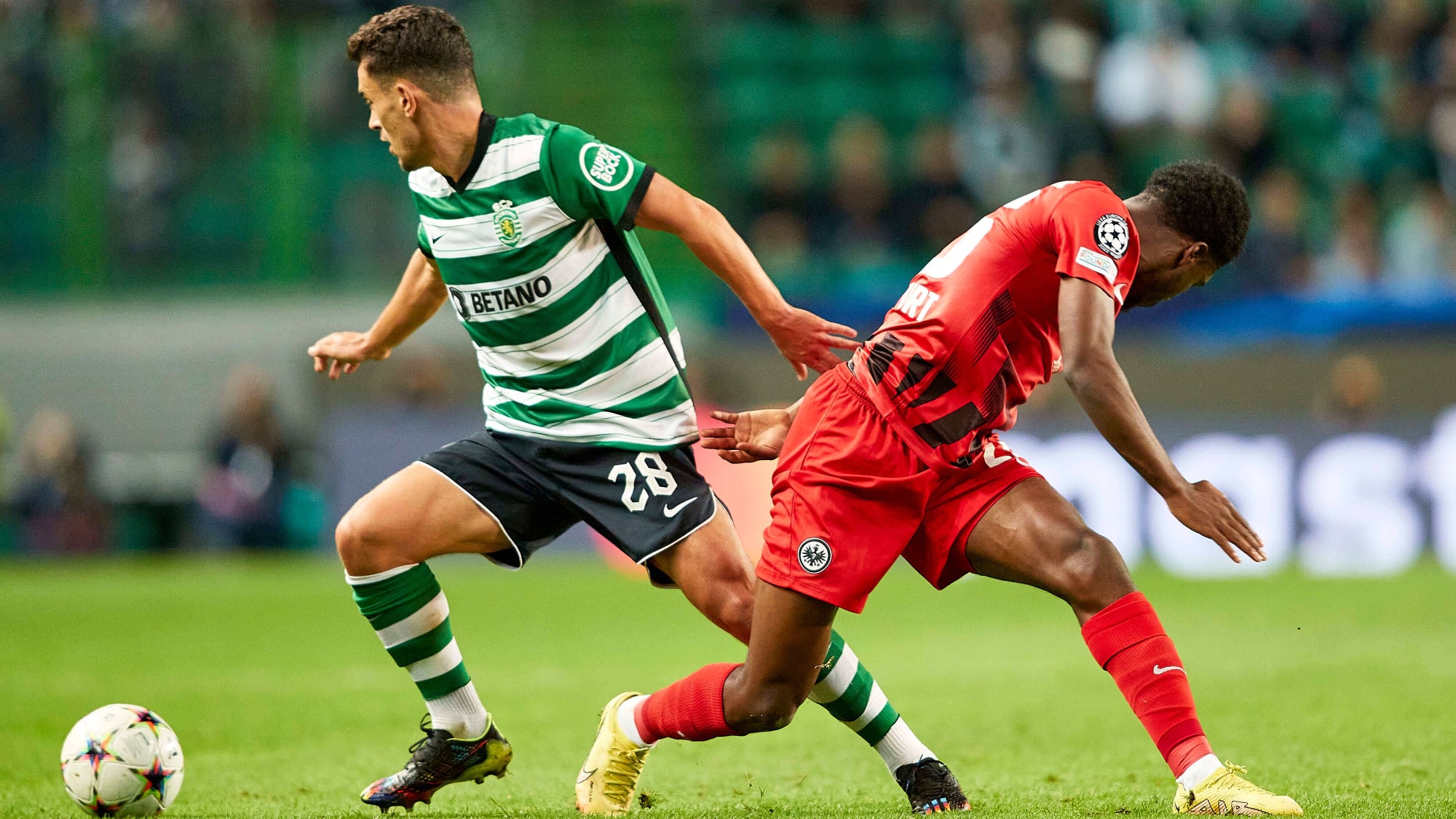 Pedro Goncalves (Sporting Clube de Portugal), Junior Dina Ebimbe (Eintracht Frankfurt)