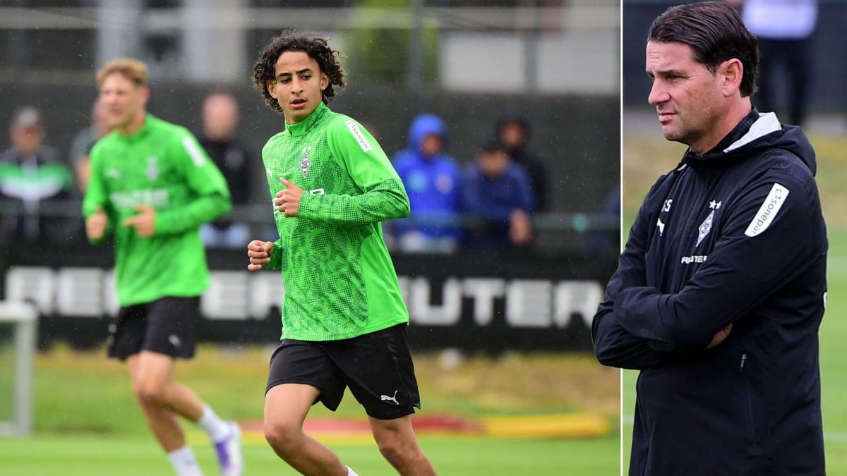 Zurück zur Fohlen-DNA: Gladbachs 