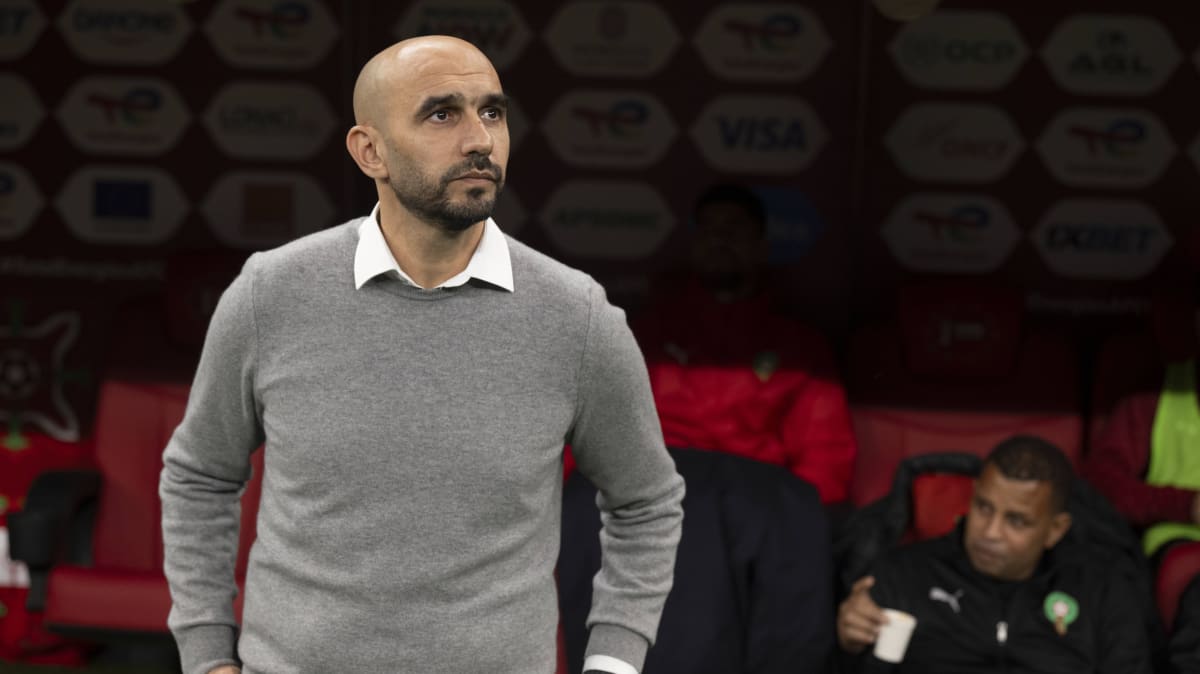 Marokko-Coach-Regragui-Sie-halten-mich-vielleicht-f-r-verr-ckt-