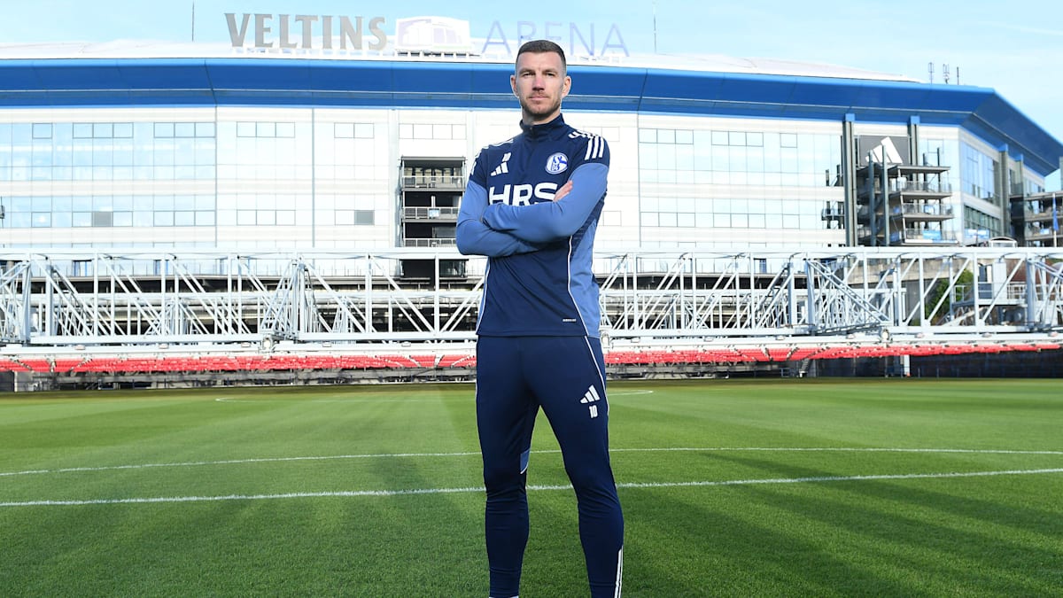 dzeko-kontaktierte-schalke-selbst-viele-haben-gesagt-du-bist-krank