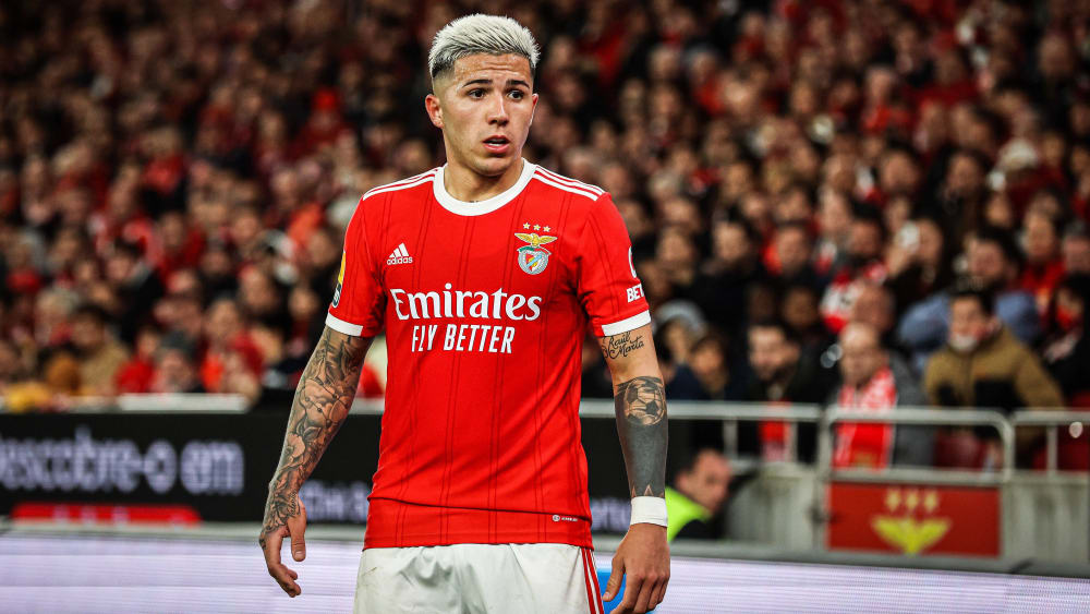 Enzo Fernandez