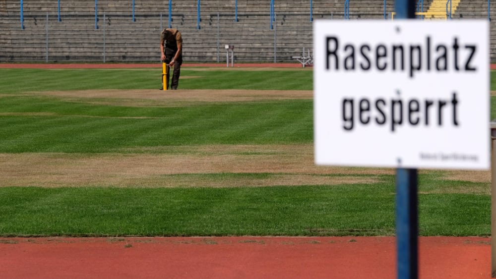 Aktuell lässt der vergiftete Rasen in Dessau keinen Spielbetrieb zu.&nbsp;