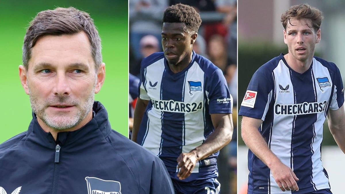 (k+) Entwicklungsstand, Gewinner und die Qualitätsfrage: Herthas ...