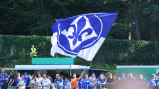 Fans des SV Darmstadt 98