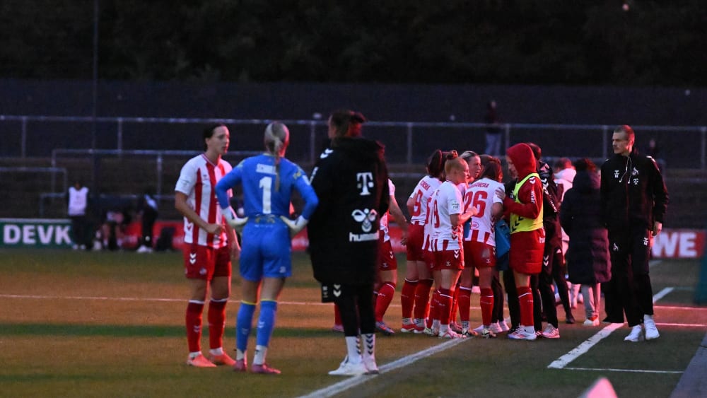 [Bild: 2880fa13-7dda-4f91-880a-eb3b883df948.jpg]