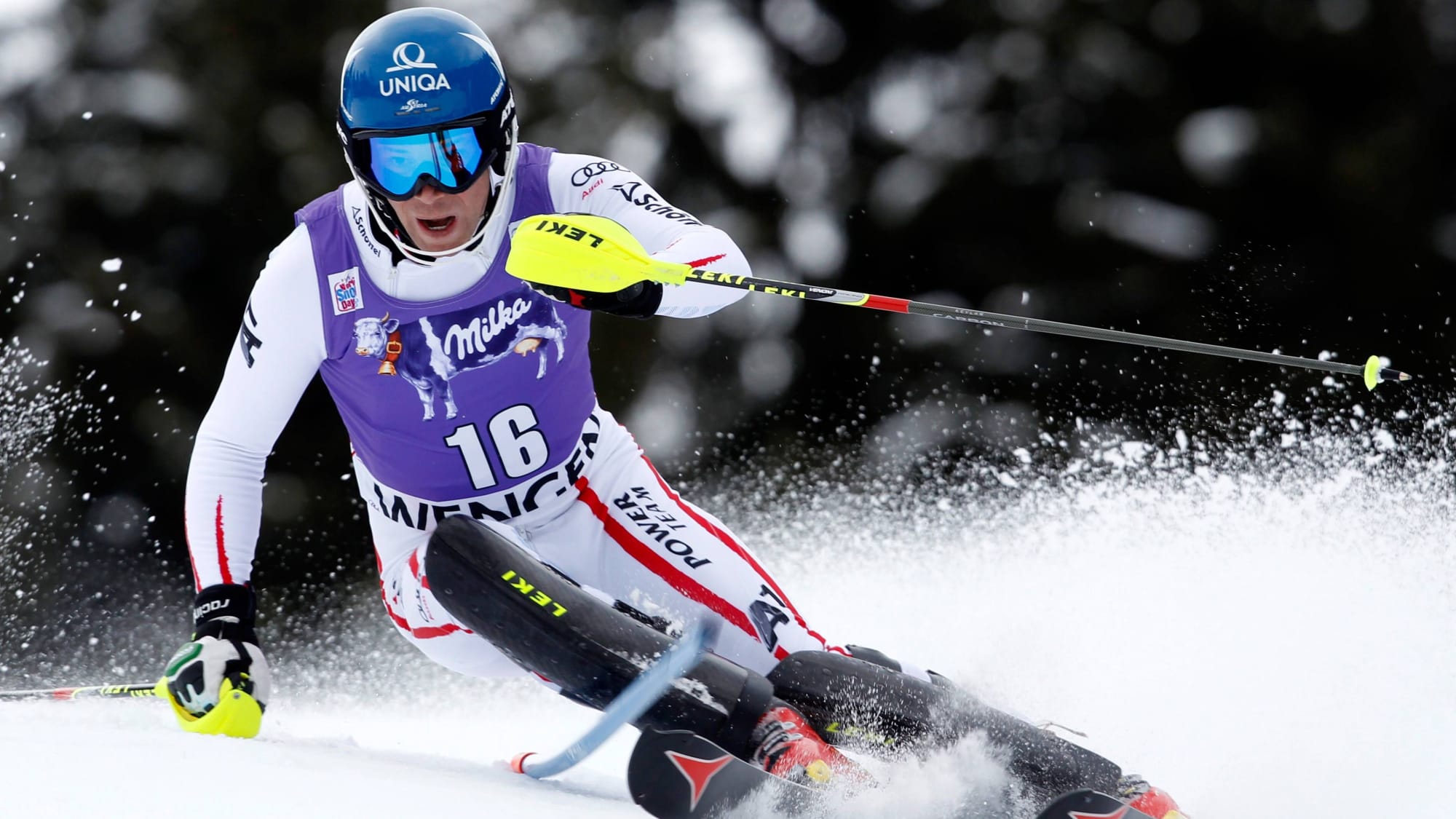 Benjamin Raich (Österreich)
