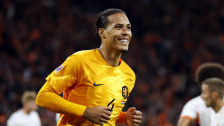 Sorgte per Kopf für den Sieg: Virgil van Dijk.