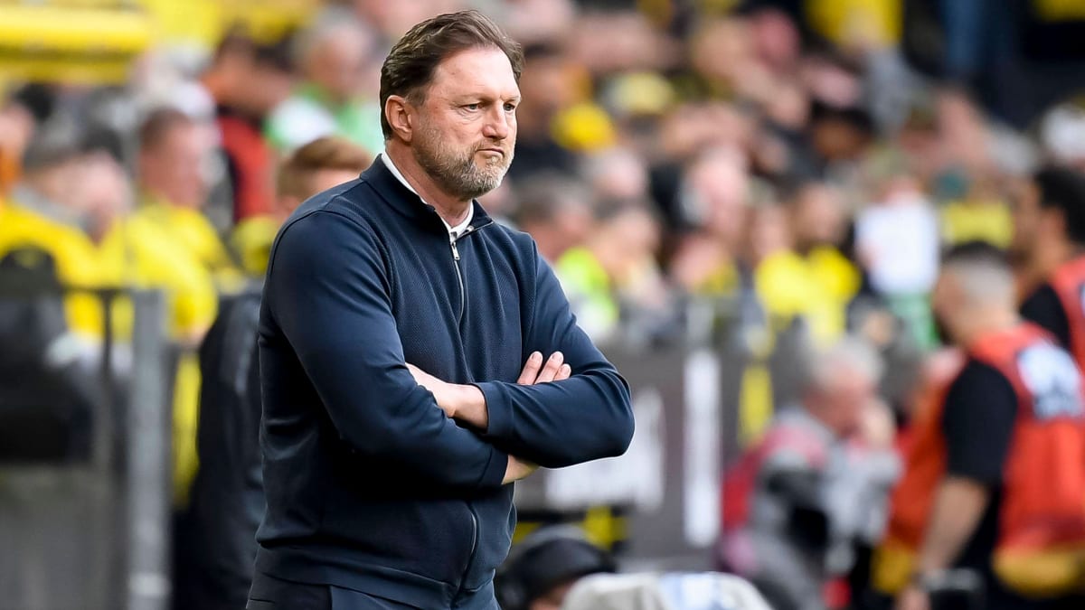 Die Gespräche laufen: Darum droht Hasenhüttl das sofortige Aus