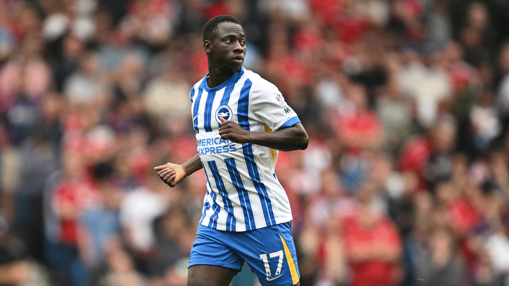 Yankuba Minteh (Brighton &amp; Hove Albion)