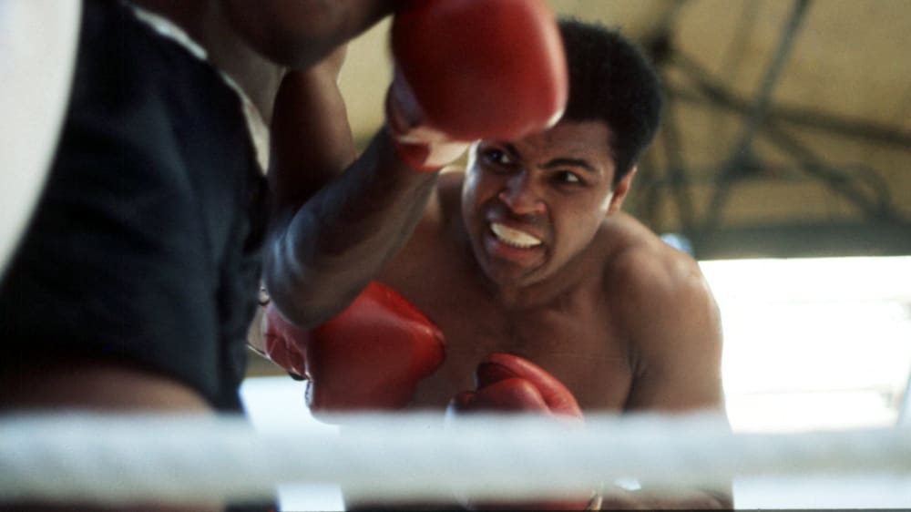 Muhammad Ali hätte am Montag (17. Januar) seinen 80. Geburtstag gefeiert. 