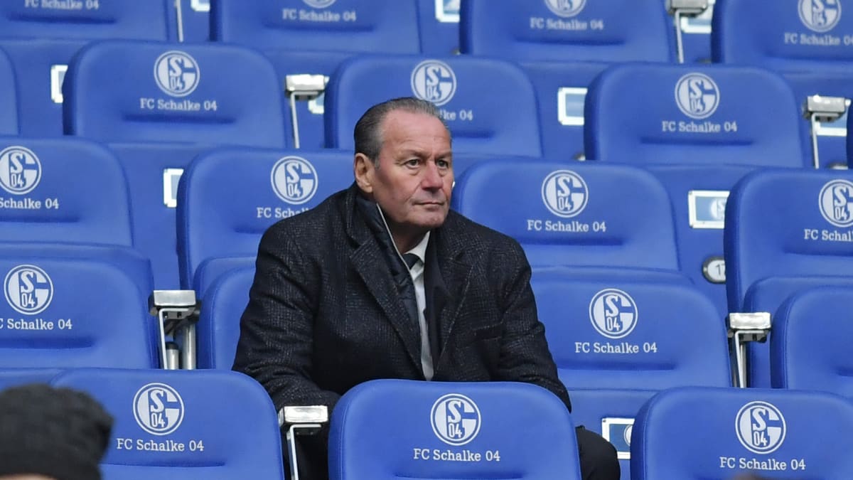 Paukenschlag auf Schalke: Stevens übernimmt für Baum - Glückloser Trainer muss gehen - Funkels Name taucht auf