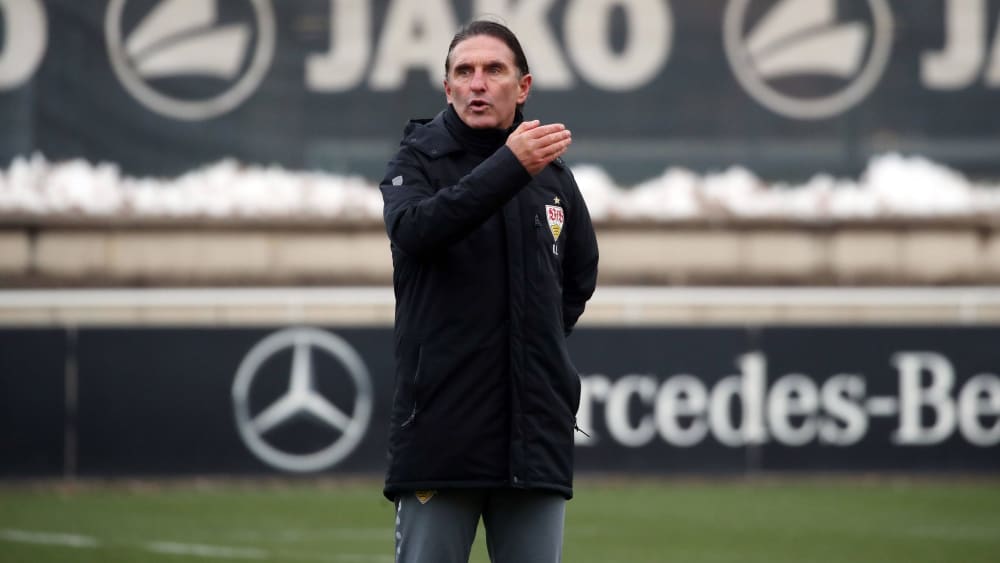 Auf der Suche nach einem Mittelfeldstabilisator: VfB-Coach Bruno Labbadia.