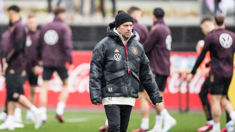 Abschlusstraining A-Nationalmannschaft Deutschland Hans-Dieter Flick (Trainer Deutschland) Abschluss