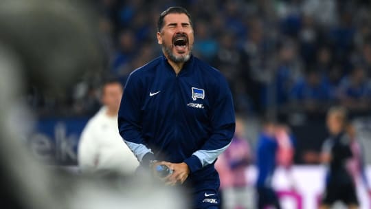 Die Erklärung für das 2:2 auf Schalke würde "zu lange dauern": Hertha-Trainer Cristian Fiel.