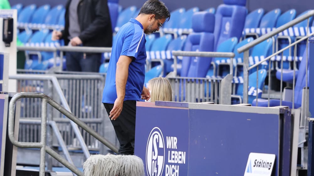 Frustrierter Abgang: Schalkes Trainer David Wagner.