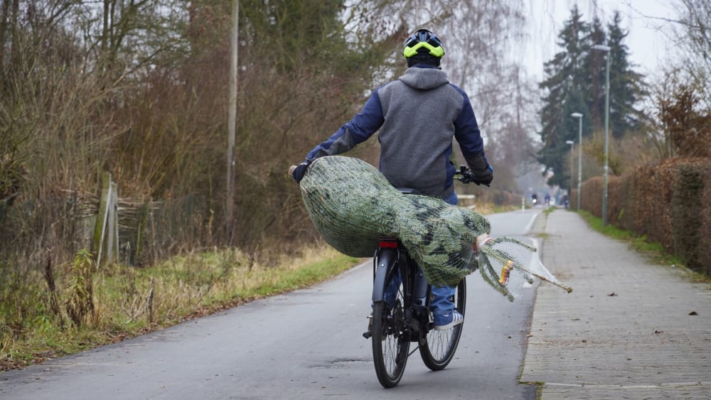Weihnachtsbaum Fahrrad
