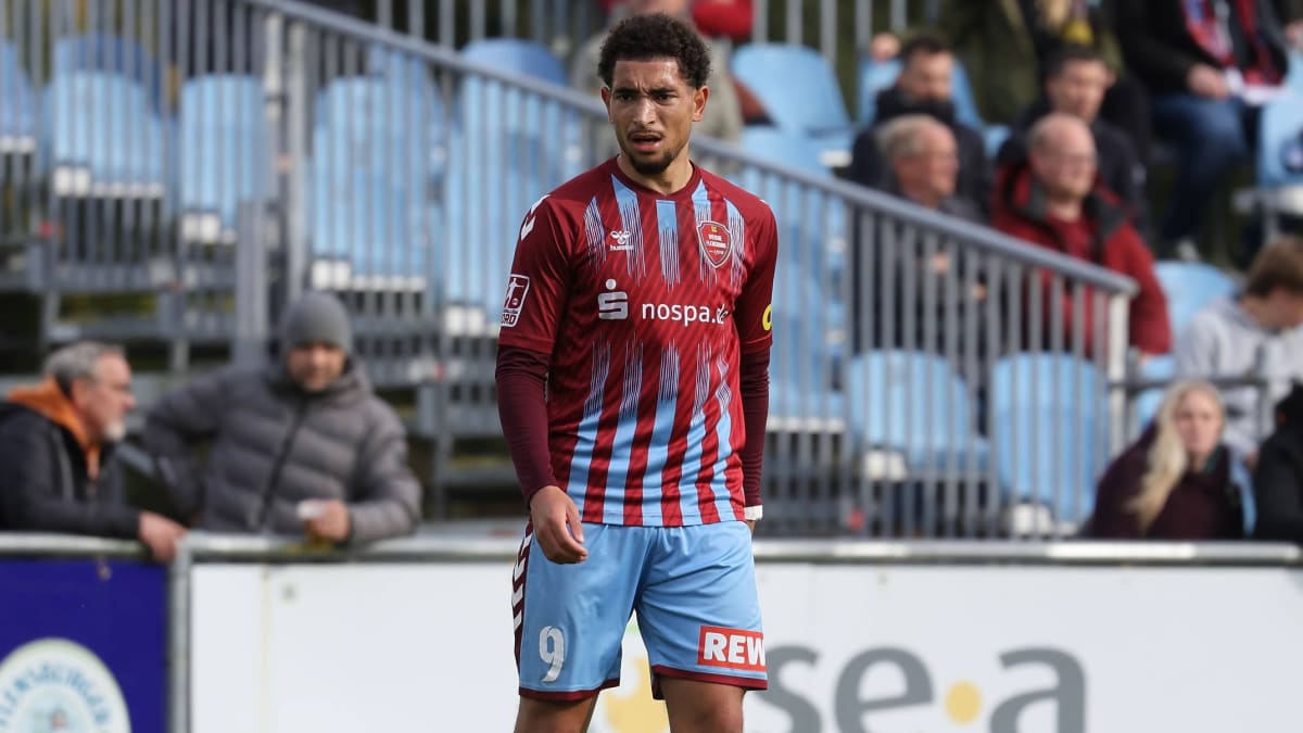 Flensburg kassiert Ablöse: Top-Torjäger Labes wechselt zu Hoffenheim II